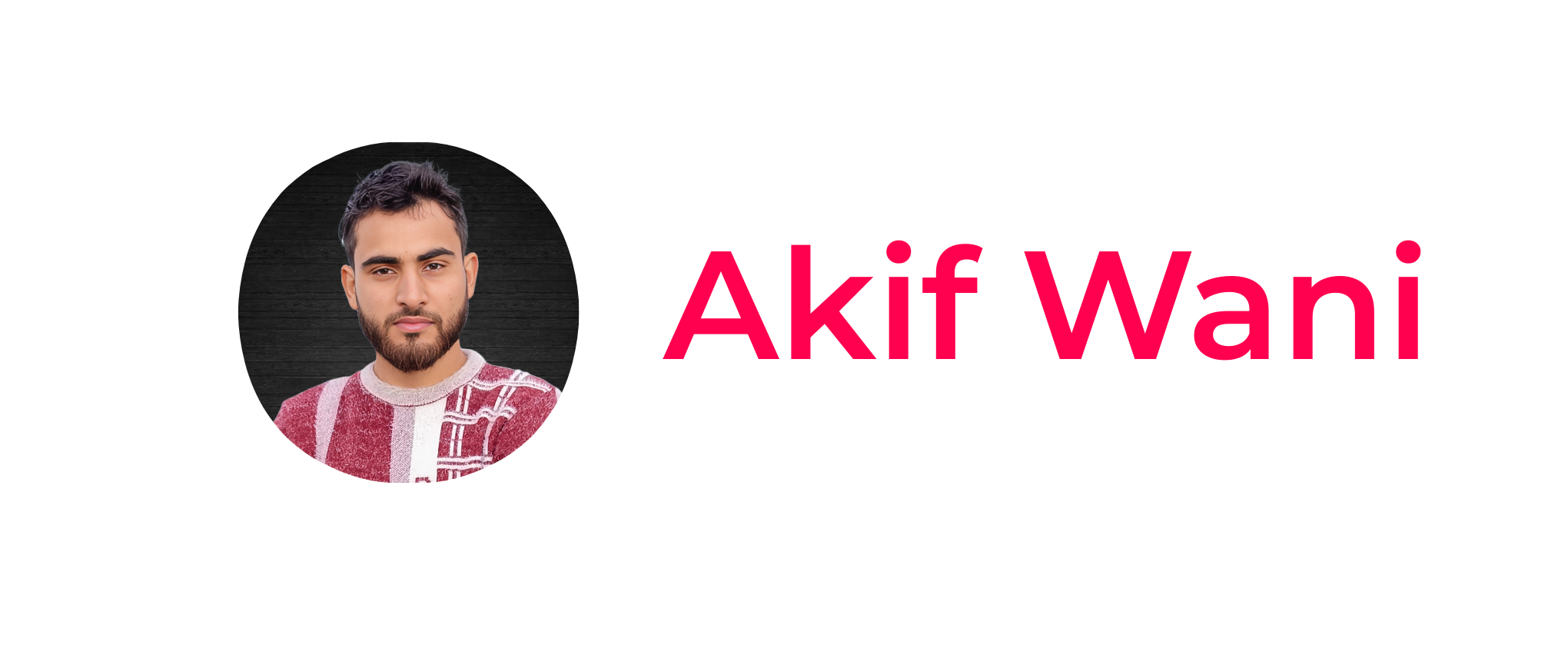 The Best Freelance WordPress developer